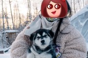 阿拉斯加雪橇犬拉车肩带的选择与使用（为你的阿拉斯加雪橇犬选择最佳肩带，提升拉车体验）