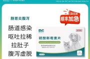 如何处理一岁狗狗吐又拉稀的问题（对症治疗是关键）