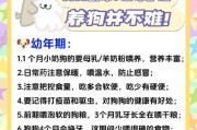 如何正确养狗，打造健康快乐的家庭伙伴（刚到家的小狗如何适应新环境，建立良好的养狗习惯）