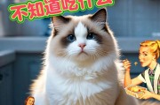 两个月的家猫该吃什么？（为宝贝猫提供适当的饮食和营养）