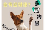 狗的脚为什么会有黑点？（黑点是狗脚趾甲的自然特征）