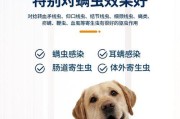 狗狗驱虫药的选择与使用（保护宠物健康，选对驱虫药）