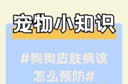 狗狗皮肤病的饮食指南（关于狗狗皮肤病的饮食建议及注意事项）