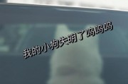 狗狗突然找到了什么？（揭开狗狗背后的秘密，它们能找到什么？）