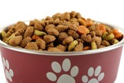 泰迪怀孕期间的饮食指南（为您的泰迪宝宝提供最佳营养）