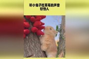 兔子的听觉奇迹（揭秘兔子能听到声音的秘密及其科学原理）