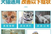 探讨狗狗皮肤病的常见治疗方法（有效防治狗狗皮肤病的关键措施）