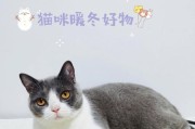 让寒冬变暖冬——如何帮助猫咪保暖？（教你三个给猫咪保暖的方法）