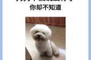 狗狗的早期发育速度快的原因（探索狗狗成长迅猛的背后机制）