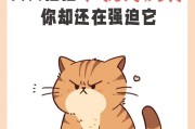 了解不同猫咪品种的价格和特征（探索各类猫咪的价格范围以及各自独特的特征）