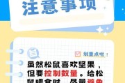 家养松鼠的注意事项——给爱宠带来幸福的关键（了解宠物松鼠，做个负责任的饲养者）