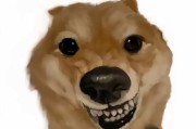 恶犬之殇（揭秘世界上最凶猛的犬种与其可怕的攻击力）
