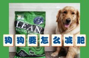 犬产后饮食指南（了解犬的产后饮食需求，帮助母犬健康恢复）