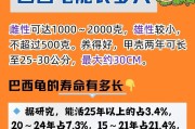 探秘宠物巴西龟的寿命之谜（宠物巴西龟能活多久？寿命取决于什么？）