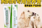 狗狗下奶需要什么？（为您解答狗狗下奶期间的饮食需求）