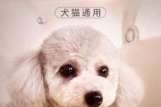 选择小狗膏，保护宠物健康（了解小狗膏的品牌和优势，让宠物健康无忧）