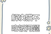 猫咪为什么不吃饭？（探究猫咪拒食的原因及解决方法）