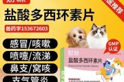 狗狗咳有痰，应该吃什么药？（针对狗狗咳有痰的症状，药物治疗是关键。）