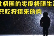面对阿拉斯加无食物的困境，该如何应对？（探索阿拉斯加荒凉之地的食物解决方案）