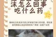 揭秘猫身上白色物质之谜（探究猫体白色物质的成因及相关病症）