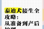 泰迪狗的怀孕期与生产过程（揭秘泰迪狗的生育奥秘，了解它们的繁殖周期和产仔过程！）