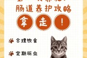 猫咪拉稀的解决方法（全面了解猫咪肠胃问题，解决拉稀困扰）