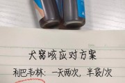 狗狗犬窝咳炎的治疗方法（药物治疗是关键）