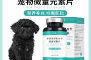 泰迪犬的禁食食物（宠物狗主人必看！小心这些食物对泰迪犬的危害）