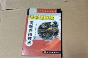 如何正确饲养黄金螺（从选购到养护，让你的宠物黄金螺健康成长）