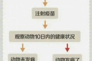 狗疫苗接种的必要性与重要性（保护狗狗健康，预防常见犬类传染病）