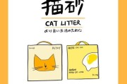 猫砂购买指南