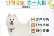 以萨摩吃什么品牌的狗粮好？（为你的萨摩犬选择最佳狗粮的关键因素）