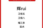 以卫佳伍疫苗（打造健康的未来，守护生命的使者）