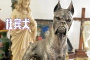 选购适合杜宾犬的狗粮（探究杜宾犬饮食需求及如何选择狗粮）