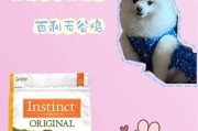 如何为狗狗提供营养均衡的饮食（了解狗狗的饮食需求，让它们健康成长）