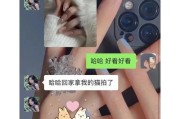 养猫没那么简单——以一猫两人三餐四季（探索养猫的乐趣与挑战，为猫咪提供全年饮食安排）