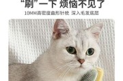 长毛猫咪的理想梳子（如何选择适合长毛猫咪的梳子，让您的猫咪的毛发保持健康亮丽）