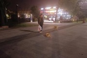 狗洗澡后的开心打滚（愉悦的洗澡体验为你的狗带来的快乐）