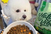 如何让泰迪的毛变得更多？（营养均衡的饮食是关键）