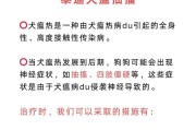 犬瘟的传播途径与预防措施（深入解析犬瘟的传播方式与有效预防方法）