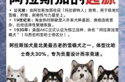 《完美养育阿拉斯加犬的指南》（全面解读阿拉斯加犬的饲养技巧和要点）