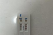 小狗感染细小需要用什么药物治疗？（细小病毒对小狗的危害以及有效药物治疗方法）