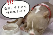 探讨以杜高犬皮肤病治疗中的打针方式（针对以杜高犬皮肤病的治疗方法进行全面分析和评估）