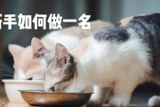 教猫咪定上厕所的有效方法（让你的铲屎生活更简单，猫咪也更舒适）