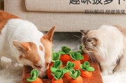 狗狗为何喜欢舔垫子？（探索狗狗舔垫子行为的原因与意义）